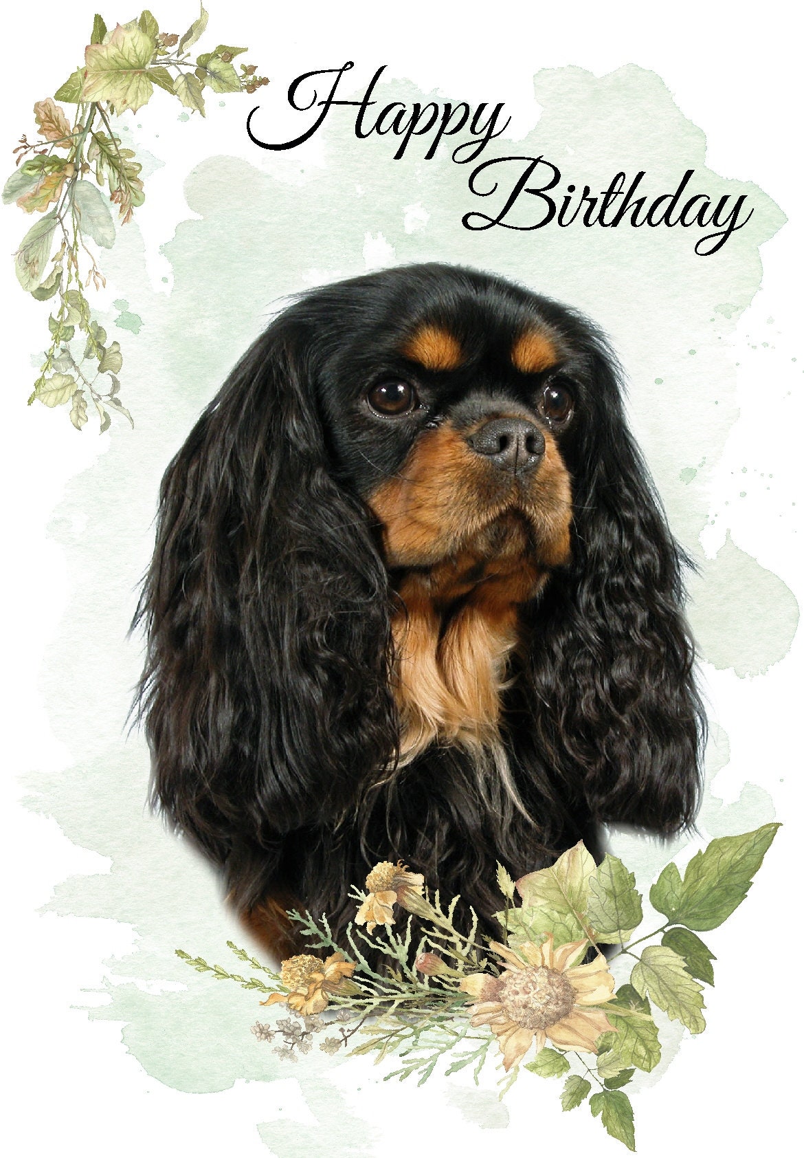 Cavalier King Charles Spaniel Dog 