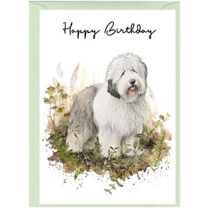 Carte « Joyeux anniversaire » vieux chien de berger anglais (6 x 4 po.) avec enveloppe. Blanc à l'intérieur pour votre propre message. Parfait pour tous les amoureux des chiens