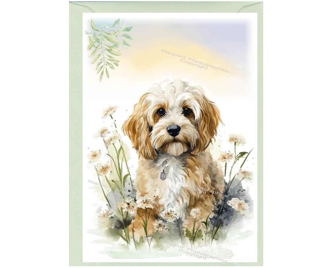 Personalised Cockapoo / Doodle Dog Greetings Card /notelet (6"x 4 ...