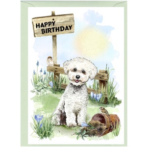 May include: A white Bichon Frise dog sits in a grassy field with a wooden sign that reads "Happy Birthday". The dog is looking at the camera with a happy expression. There are two small birds and some blue flowers in the background.