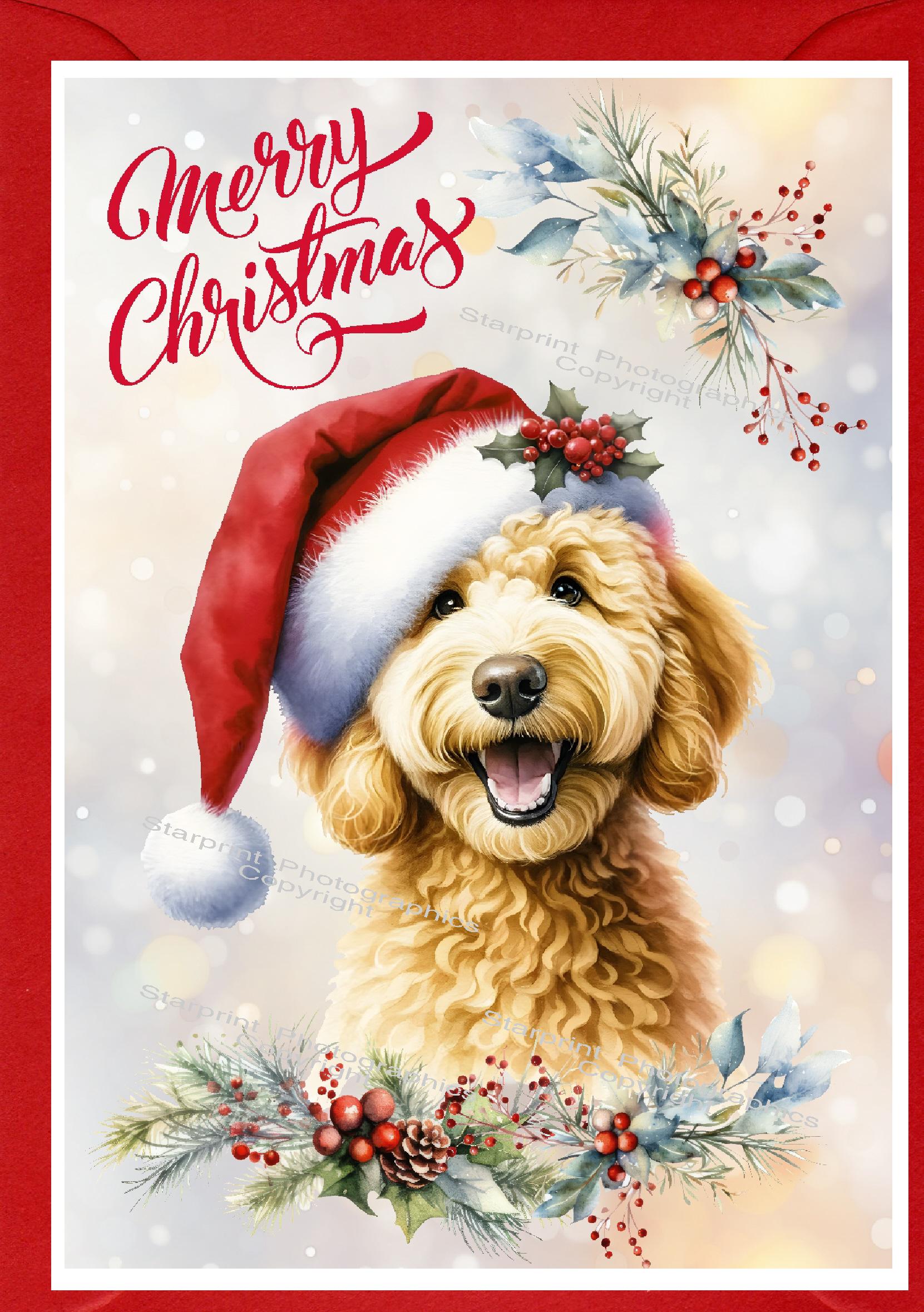 Labradoodle / Doodle Dog Christmas Card (6" X 4") Blank Inside - With ...