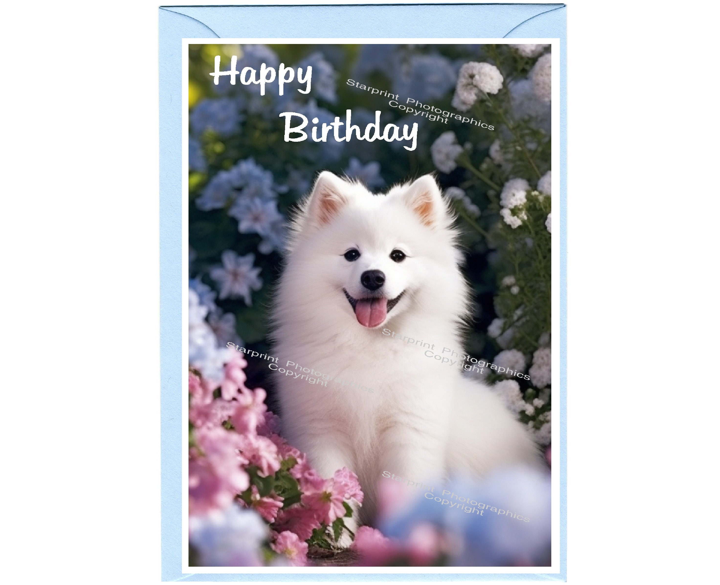 Biglietto di auguri Buon compleanno con cane Samoiedo (15,2 x 10,2 cm) con busta - Interno vuoto per il tuo messaggio. Perfetto per ogni amante dei cani. - Italia