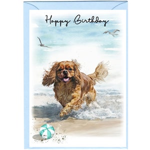 Cartão de "feliz aniversario" do cão descuidado King Charles Spaniel (rubi) (6" x 4") com envelope - anule o interior para sua própria mensagem.