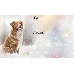 Etiquetas de presente de Natal para cães da raça Duck Tolling Retriever da Nova Escócia (Toller), autoadesivas removíveis, 2 folhas com 21 etiquetas, 42 etiquetas no total
