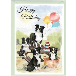 Karte „Happy Birthday“ mit Border Collie-Hund (15,2 x 10,2 cm) mit Umschlag – innen unbeschriftet für Ihre eigene Nachricht. Perfekt für jeden Hundeliebhaber