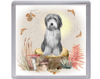 bearded collie merchandise