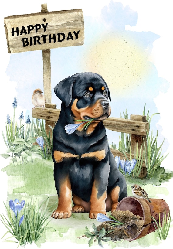 Rottweiler Dog Happy Birthday Card 6x 4 with Envelope. Blank 