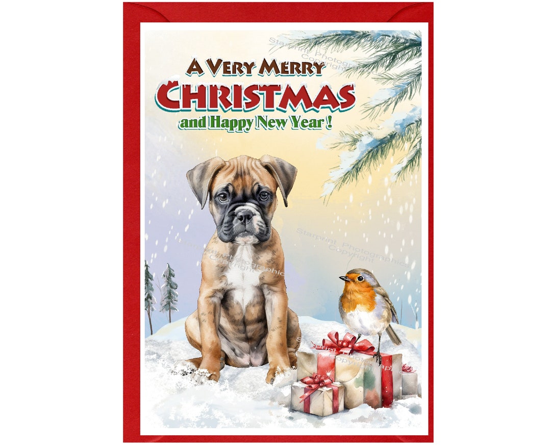 Boxer Dog Christmas Card (6" X 4") Blank Inside - With Envelope ...