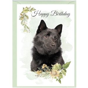Schipperke Hund ""Happy Birthday"" - Karte (6 "x 4 ") mit Umschlag." Leer innen für Ihre eigene Nachricht. Perfekt für jeden Hundefreund