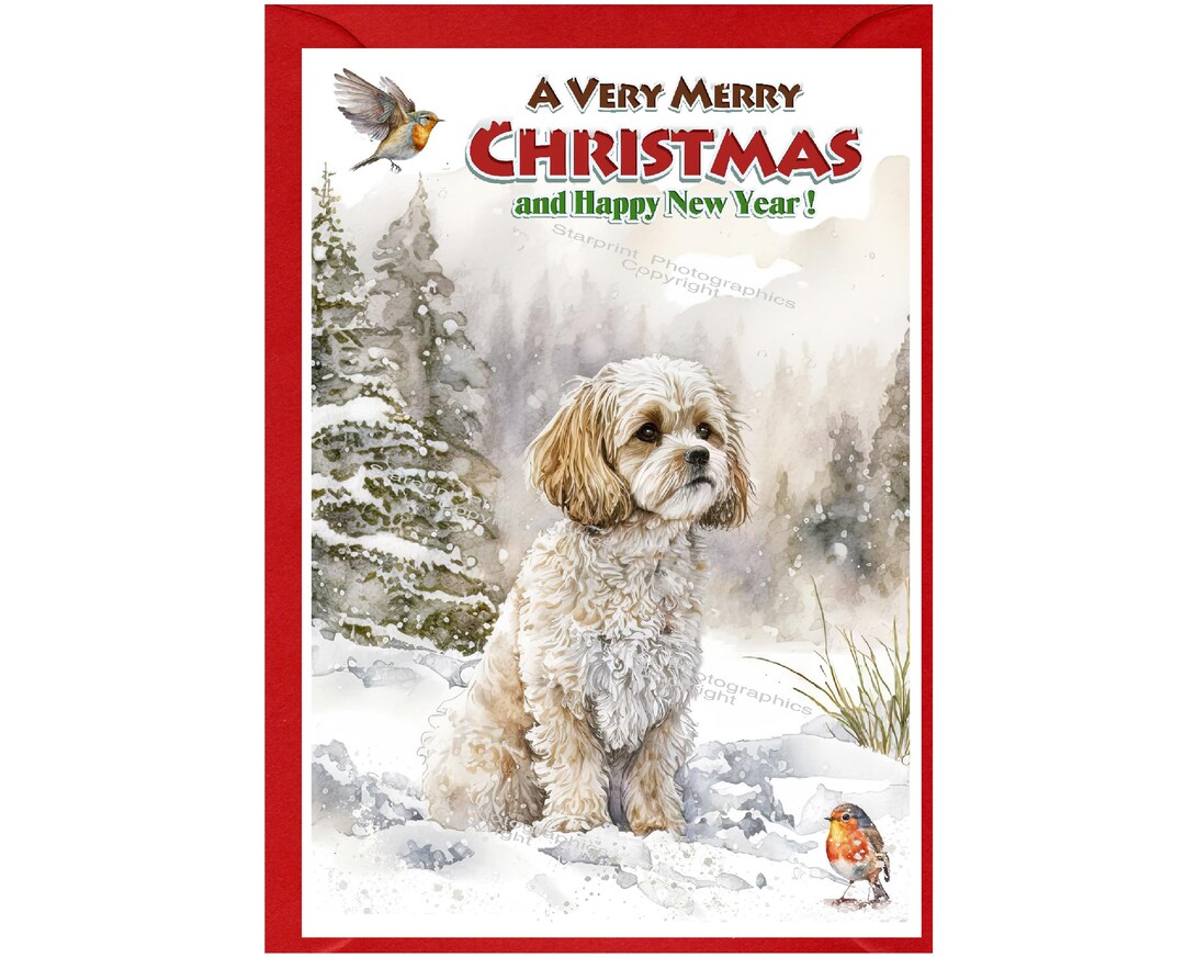 Cavachon / Doodle Dog Christmas Card (6" X 4") Blank Inside - With ...