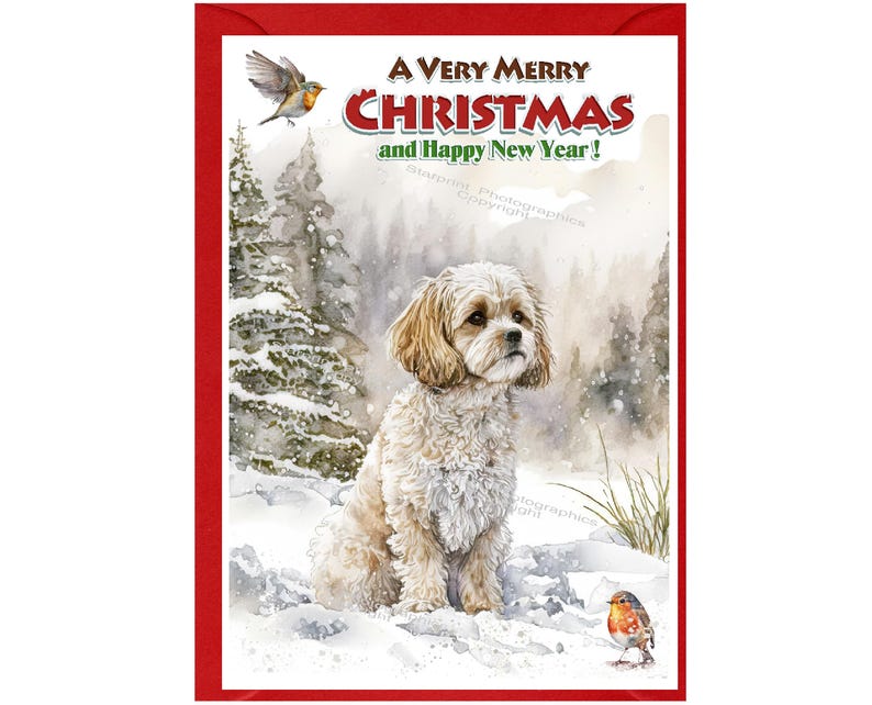 Cavachon / Doodle Dog Christmas Card (6" X 4") Blank Inside - With ...