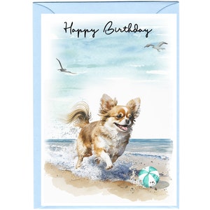 Carte « Joyeux anniversaire » chien chihuahua (6 x 4 po.) avec enveloppe. Blanc à l'intérieur pour votre propre message. Parfait pour tous les amoureux des chiens