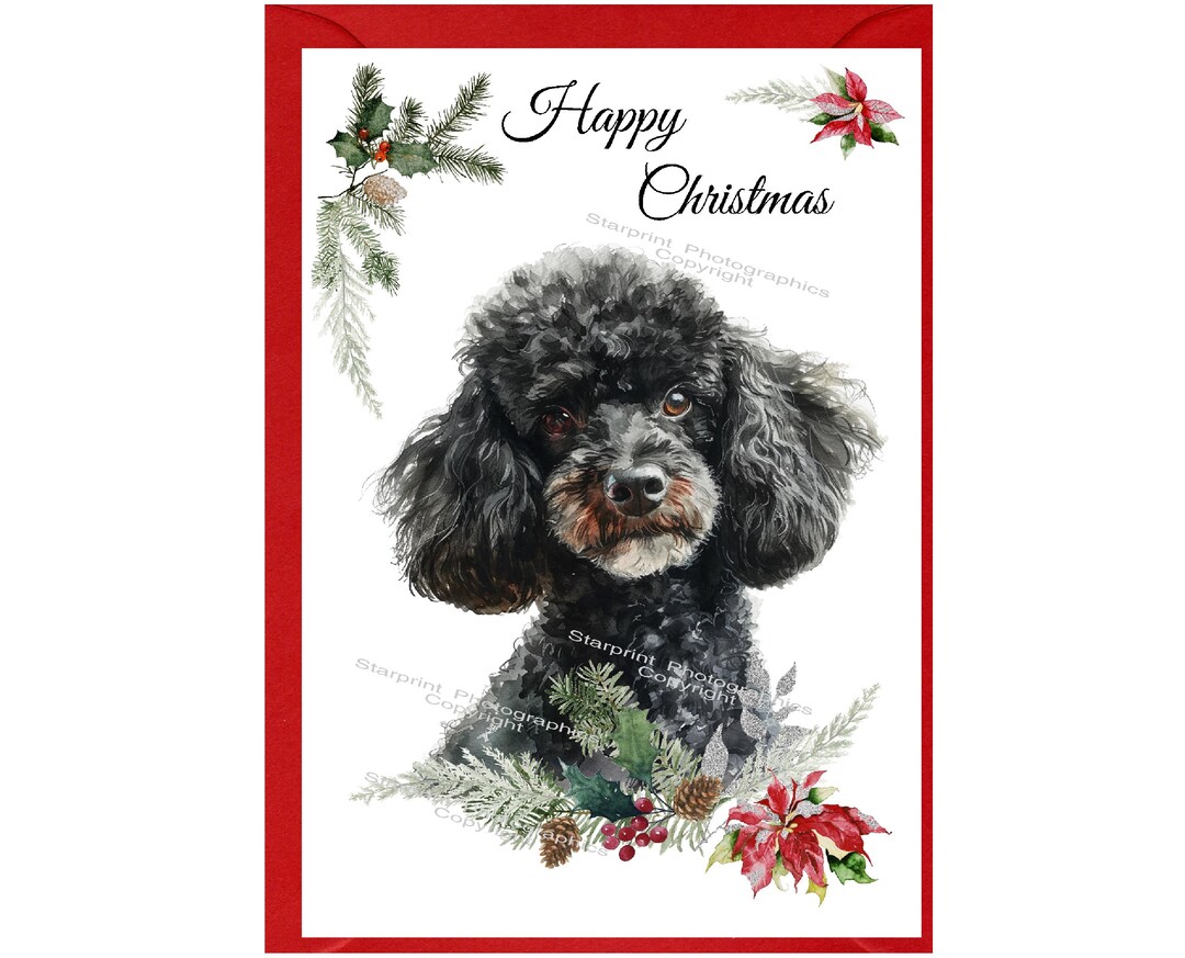 Poodle Black Dog Christmas Card (6" X 4") Blank Inside - With Envelope ...