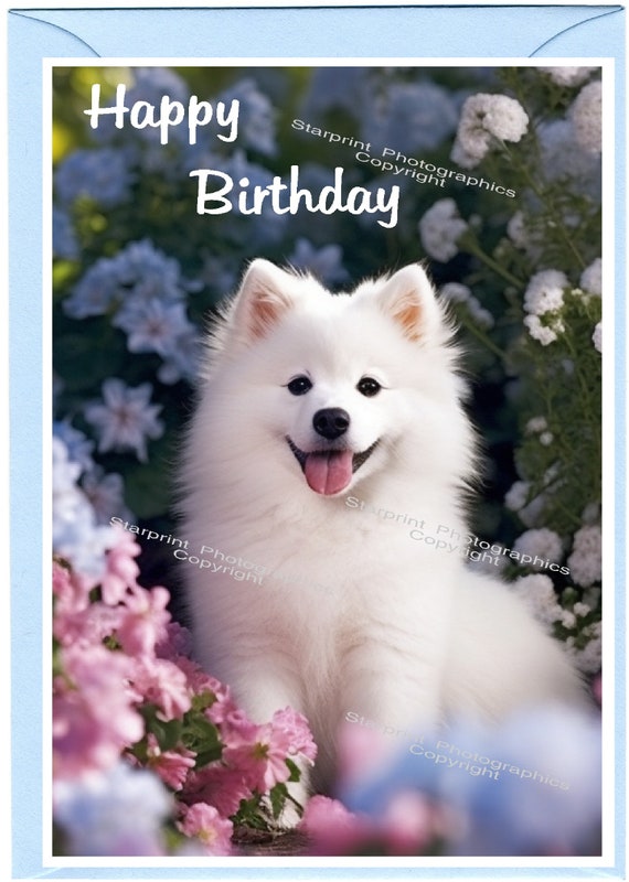 Biglietto di auguri Buon compleanno con cane farfalla Papillon (15x10 cm) e busta. Interno vuoto per il tuo messaggio. Perfetto per ogni amante dei cani. - Italia