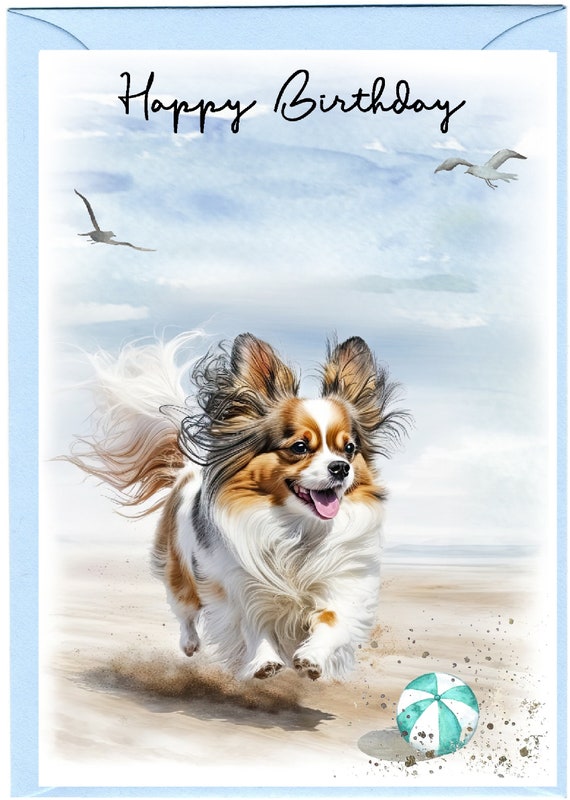 Papillon Face Mask CC Papillon Face Mask CC