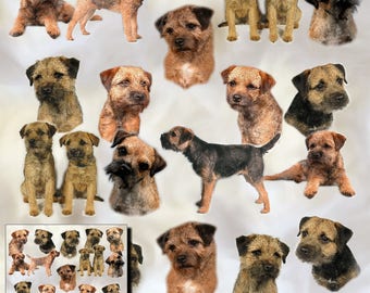Border Terrier Dog Gift Wrapping Paper with matching Gift Card
