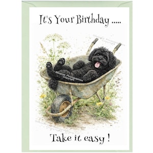 Könnte beinhalten: Geburtstagskarte mit einer Aquarellillustration eines schwarzen Hundes, der sich in einer Schubkarre entspannt. Der Text der Karte lautet "It's Your Birthday..... Take it easy!" in Schwarz auf weißem Hintergrund mit einem hellgrünen Rand.