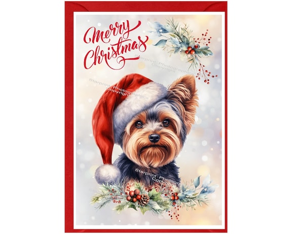 Second Ave Weihnachtskarte "Merry Christmas From The Dog" – Quadratisch, 145 X 145 Mm, Mit Umschlag
