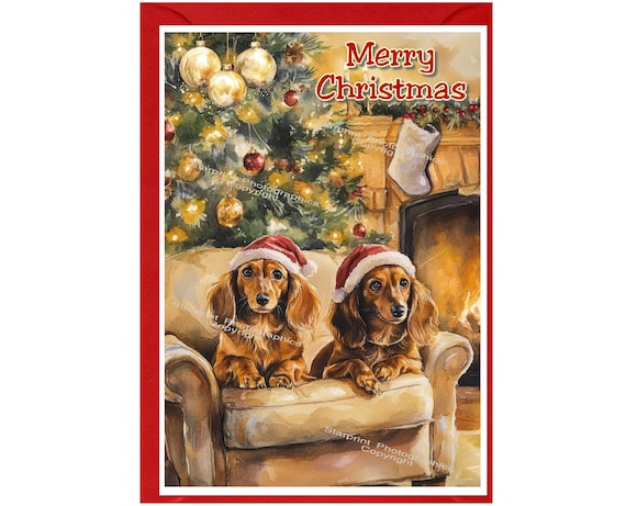 ダックスフント（長毛種）の赤い犬のクリスマスカード（6インチ×4