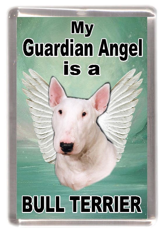 White Bull Terrier Dog Fridge Magnet My Guardian Angel - Etsy Uk