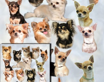 Papier cadeau pour chien chihuahua avec carte-cadeau assortie - Modèle n° 2.