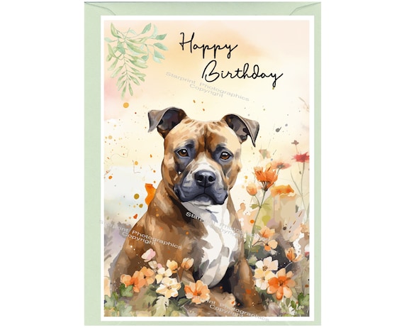 Carte D'anniversaire 3D Chien - Carte Postale Pop-up Créative Et Amusante - Pour Femme, Homme, Adulte, Enfant - Cadeau Humour - 7