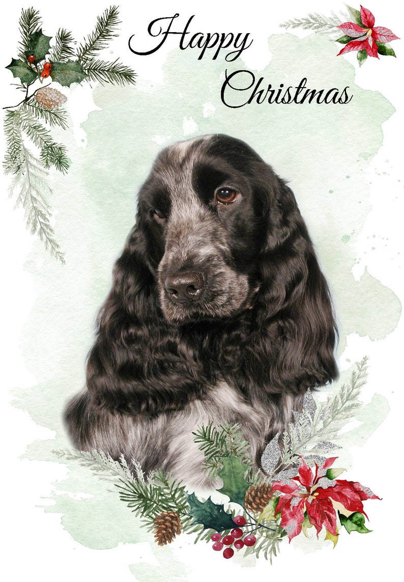 Cocker Spaniel (roan) Dog Christmas Card (6" X 4") Blank Inside - With ...