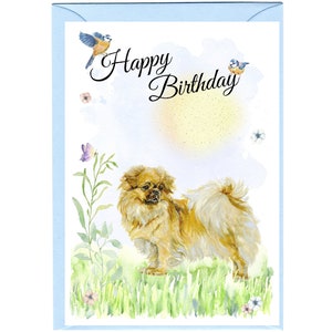 Tibetan Spaniel Dog &quot;Happy Birthday&quot; Card (6&quot;x 4&quot;) with Envelope. Blank inside for your own message. Perfect for any dog lover