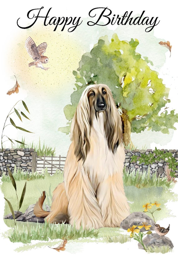 Afghan Hound Dog Personalised Birthday Greetings Card Afghan Hound Dog Personalised Birthday Greetings Card
