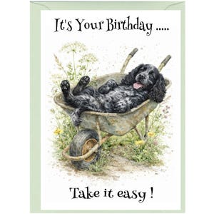 Puede incluir: Tarjeta de felicitación de cumpleaños con una ilustración en acuarela de un perro blanco y negro relajándose en una carretilla. La tarjeta tiene el texto "It's Your Birthday..... Take it easy!" sobre un fondo blanco con un borde verde claro.