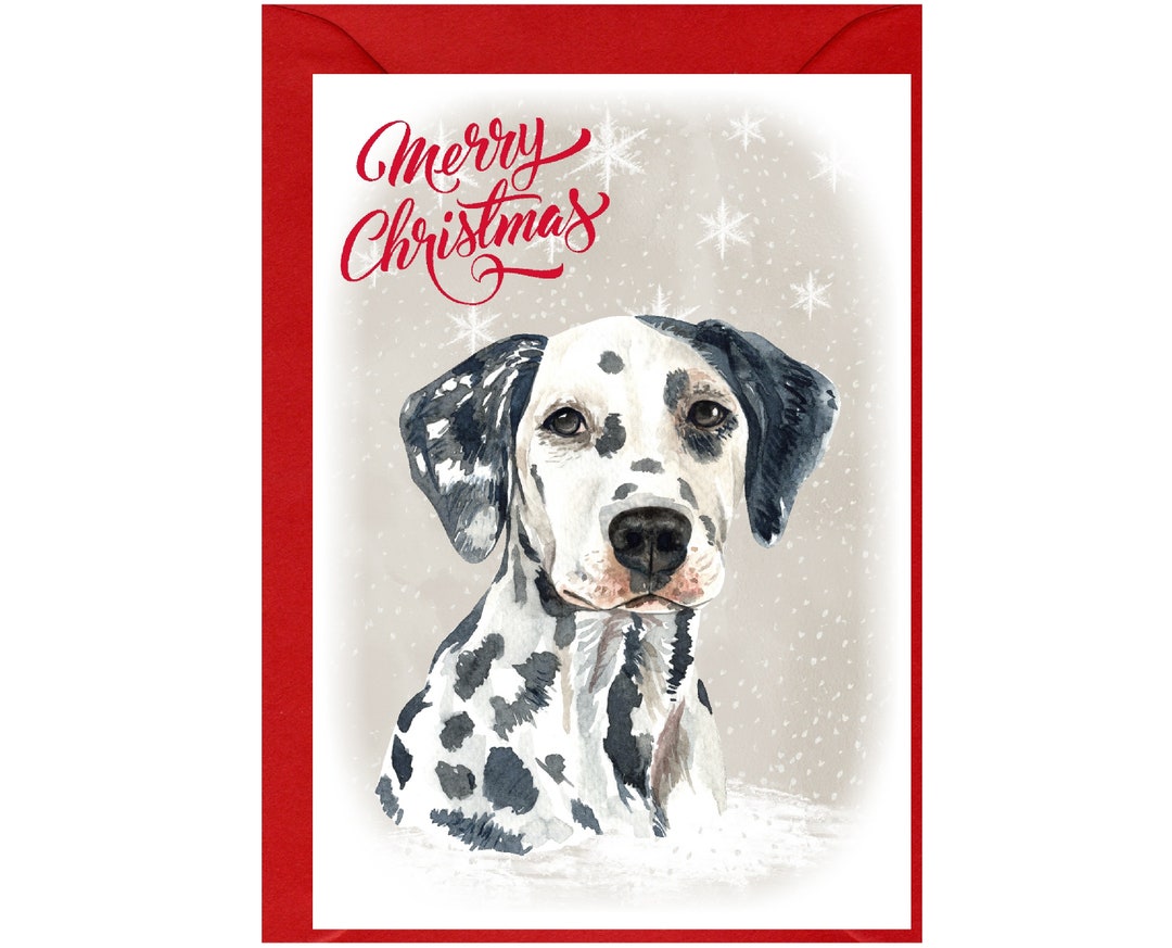 260 Dalmatian Christmas Dog Stock Vectors And Vector Art - View #2