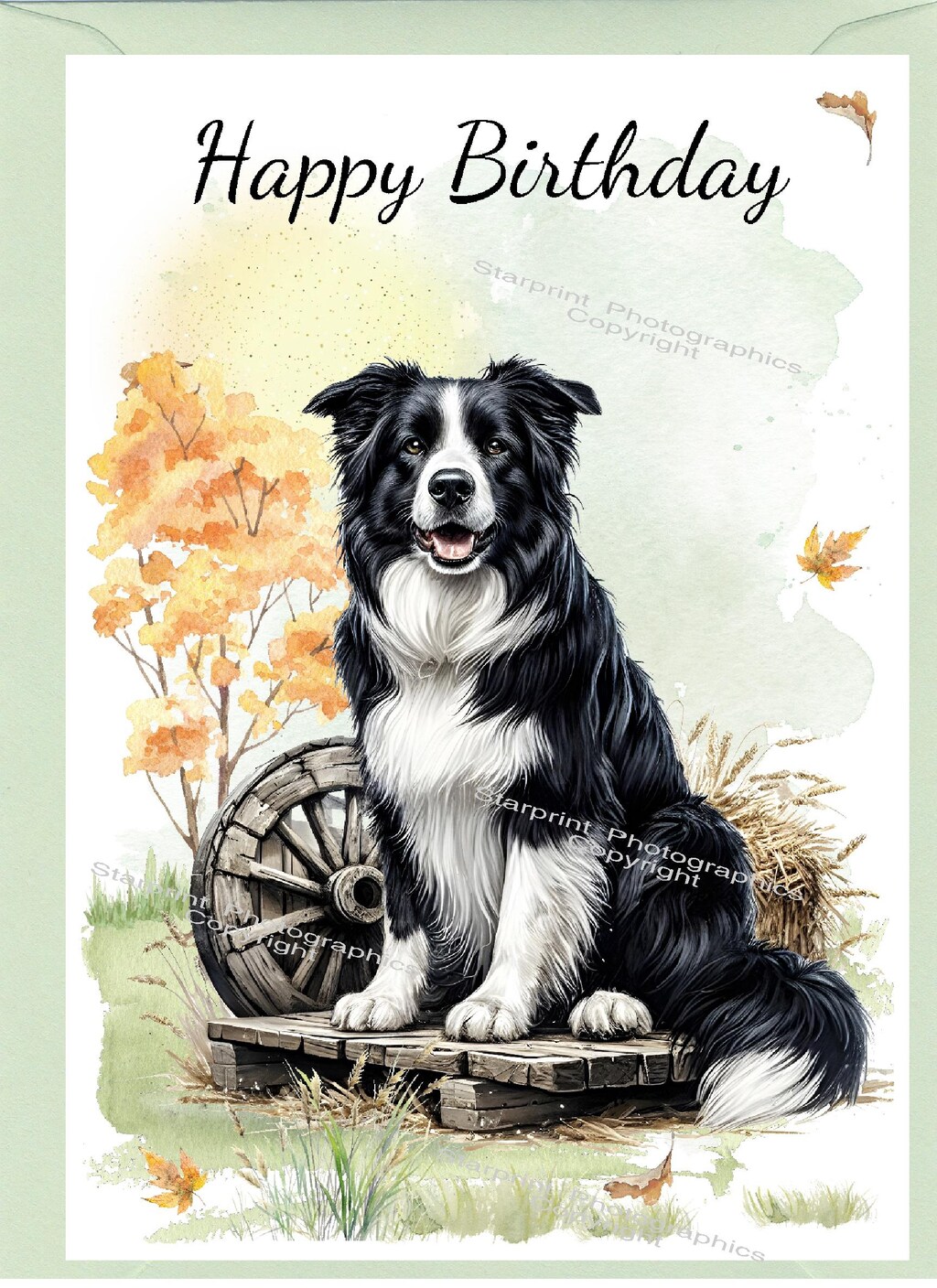 Artery8 Biglietto Di Auguri Con Border Collie E Fiori Di Campo - Bianco Interno, Con Busta