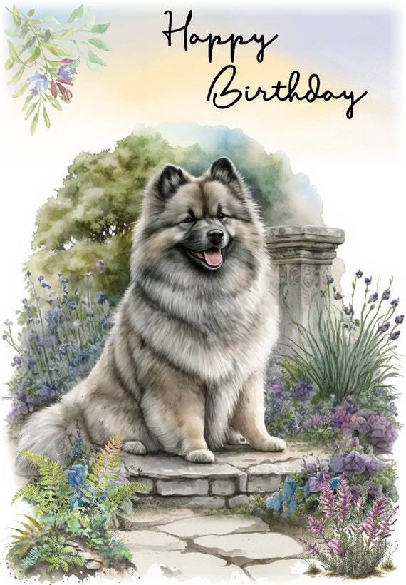 Keeshond Umbrella 2 Keeshond Umbrella 2