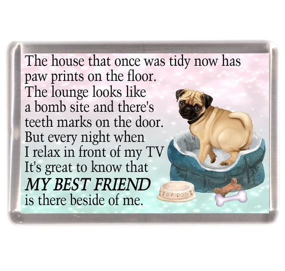 Pugs Pug Dog 8 X Plastic Poster Fridge Magnets Pugs Pug Dog 8 X Plastic Poster Fridge Magnets