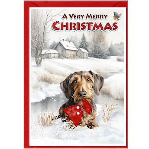Biglietto di Natale con bassotto (a pelo duro) (15x10 cm). Interno vuoto - con busta. Articolo perfetto per ogni amante dei cani.