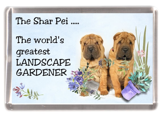 Shar Pei2 Have a Holly Jolly Refrigerator Magnet Shar Pei3 Shar Pei1 Shar Pei4 Shiba Inu2 Scottish Terrier Shiba Inu3 Shiba Inu1