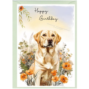 Biglietto di auguri di "Buon compleanno" con cane Labrador Retriever (giallo/dorato) (15,2 x 10,2 cm) e busta. Interno vuoto per scrivere il tuo messaggio.