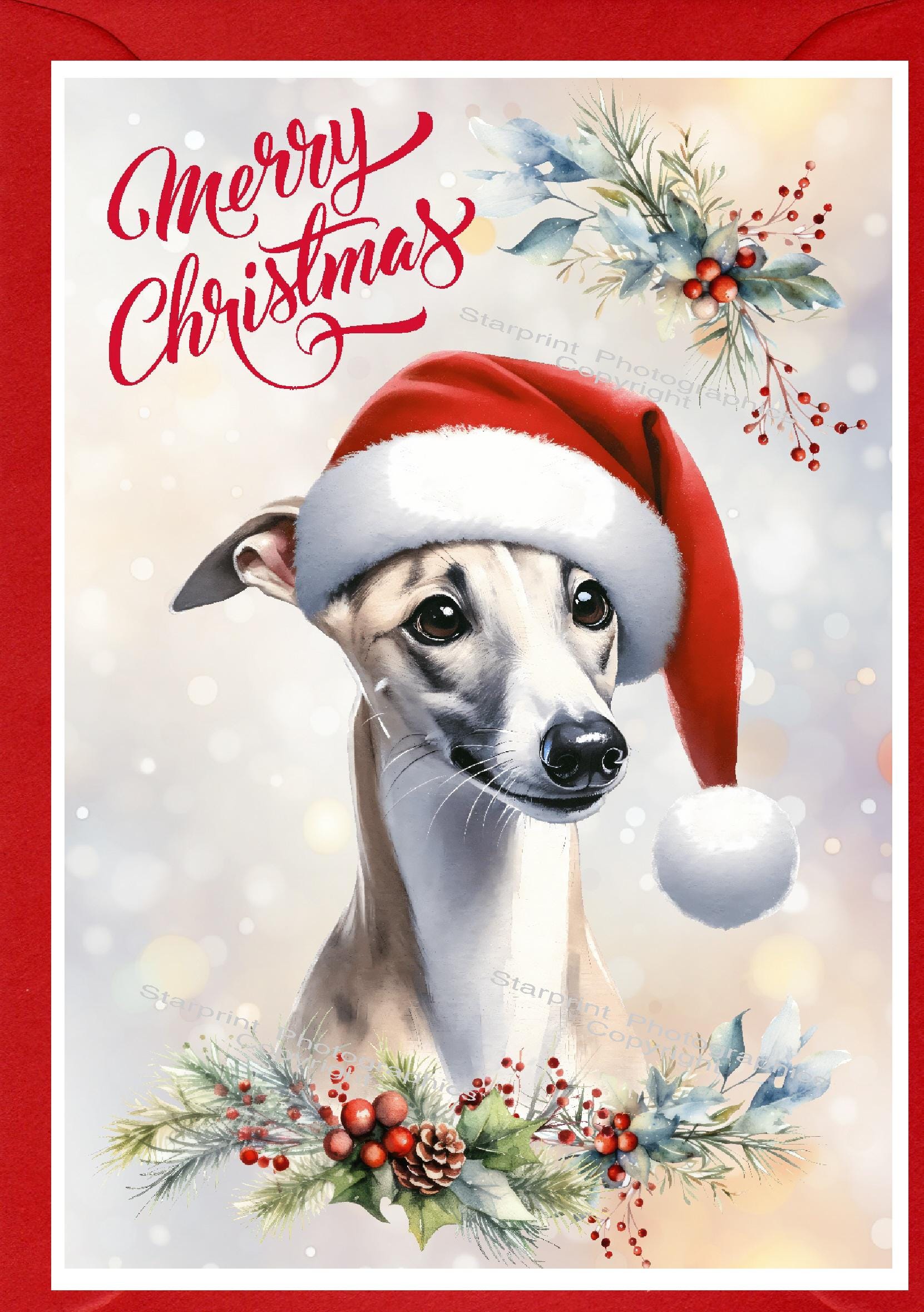 ウィペット犬用クリスマスカード（6インチ×4インチ）内側は白紙、封筒