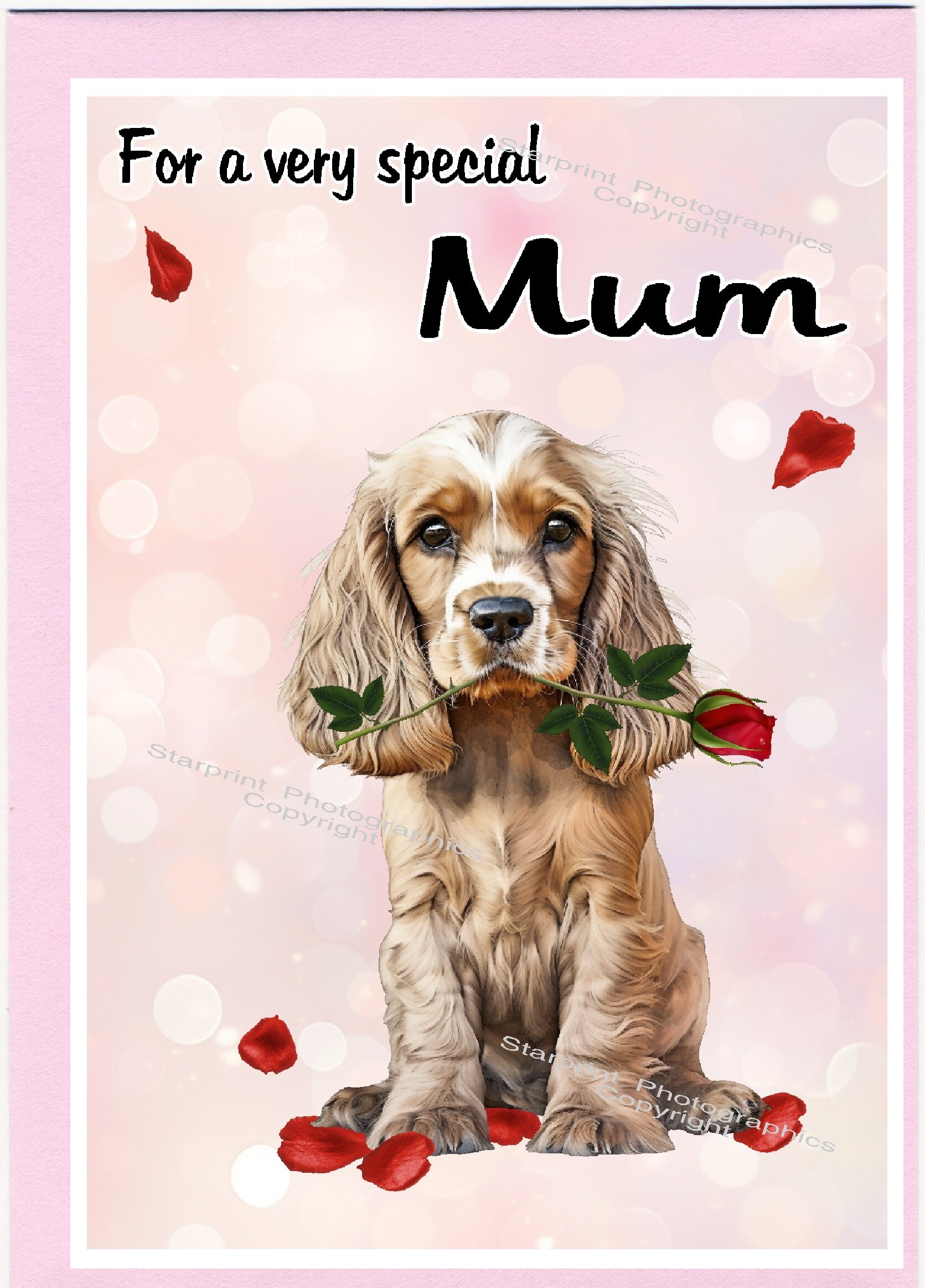 Cocker Spaniel Gold Dog Blank Card /notelet for MUM (6" X 4") With ...