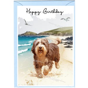 Cartão de "feliz aniversário" para cachorro Collie barbudo (6 "x 4") com envelope. Anule o interior para sua própria mensagem. Perfeito para qualquer amante de cães