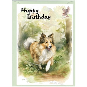 Carte « Joyeux anniversaire » Chien de berger Shetland / Sheltie Dog (6 x 4 po.) avec enveloppe. Blanc à l'intérieur pour votre propre message. Parfait pour tous les amoureux des chiens