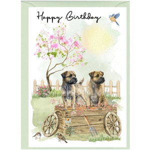 Cartão de "Feliz Aniversário" do Cão Border Terrier (6" x 4") com Envelope. Anule o interior para sua própria mensagem. Perfeito para qualquer amante de cães