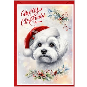 Biglietto di Natale Maltese Dog (6" x 4") Vuoto all'interno - con busta. Articolo perfetto per qualsiasi amante dei cani