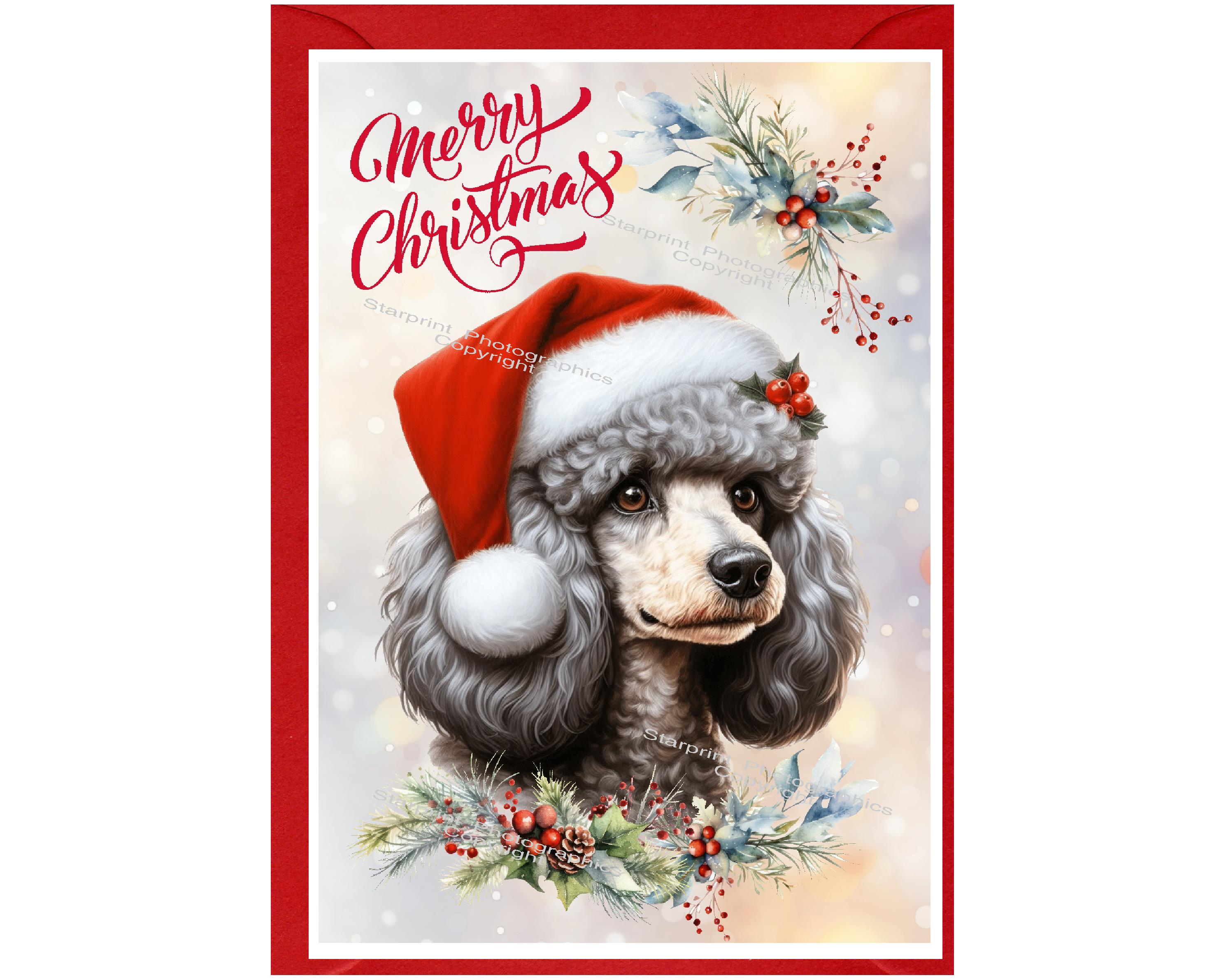 Biglietto di Natale per cane bassotto (a pelo lungo) (6 x 4), vuoto all'interno, con busta. Articolo perfetto per qualsiasi amante dei cani - Italia