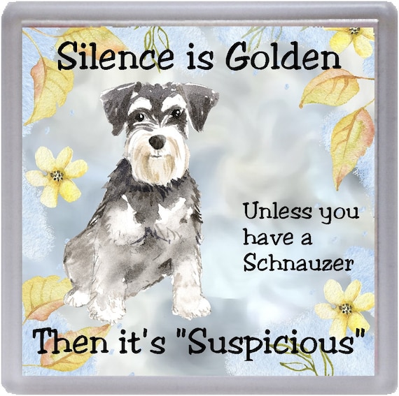 golden schnauzer