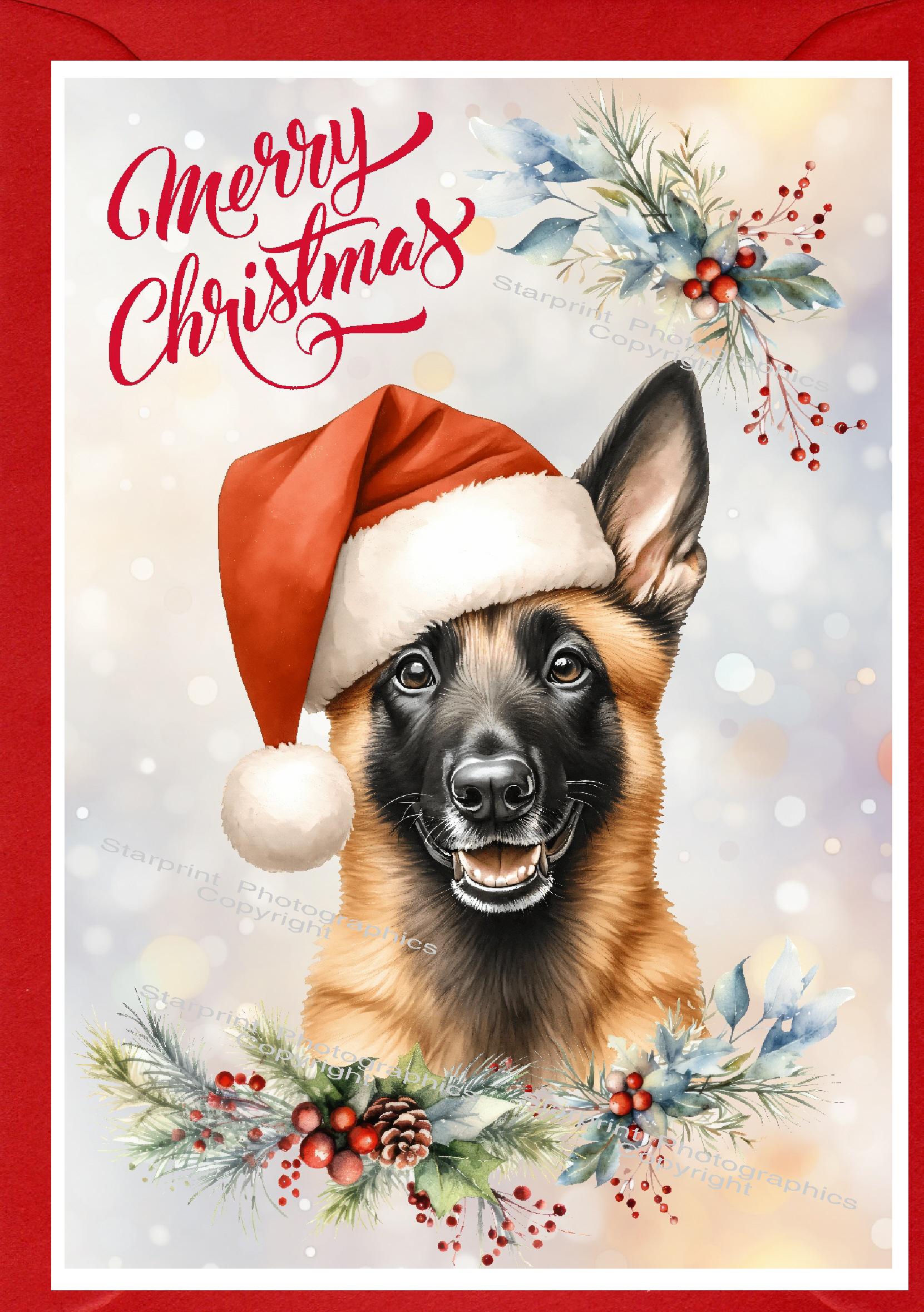 Belgian Shepherd Dog (malinois) Christmas Card (6