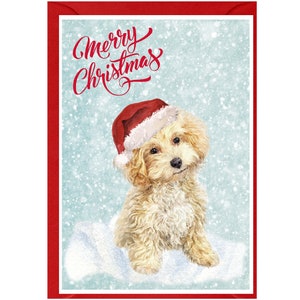 Kerstkaart Maltipoo/hond van gemengd ras (6" x 4") met envelop - blanco binnenkant voor je eigen bericht. Perfect voor elke hondenliefhebber