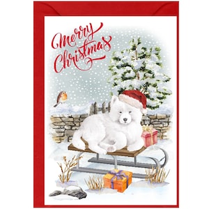 Weihnachtskarte mit Samojeden-Hund (15,2 x 10,2 cm), innen unbeschriftet – mit Umschlag. Perfekter Artikel für jeden Hundeliebhaber