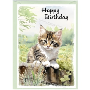Carte « Joyeux anniversaire » chaton/chat (6 x 4 po.) avec enveloppe - Vierge à l'intérieur pour votre propre message. Parfait pour tous les amoureux des chats