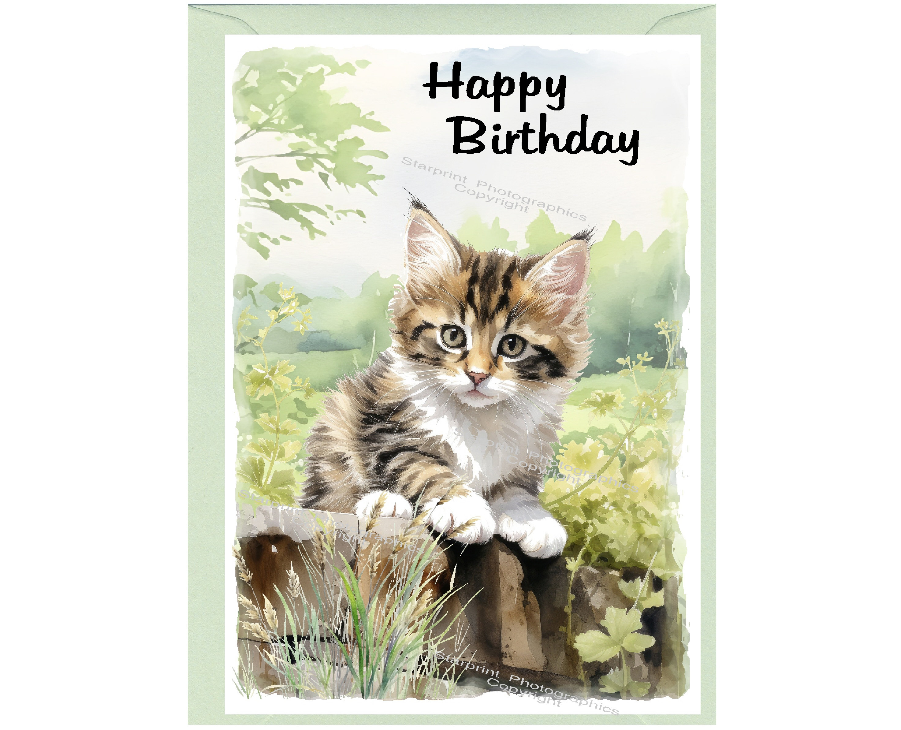 Chats - CHATS dans une valise - Heureux anniversaire, carte illustrée